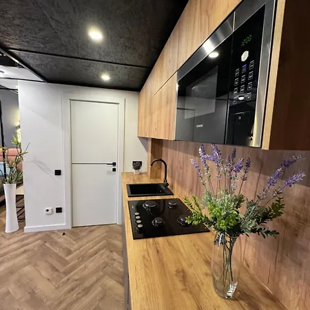 아파트 Kvartyra Mansarda