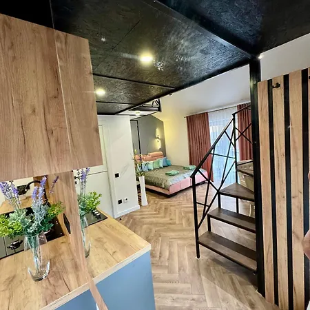 Kvartyra Mansarda 아파트